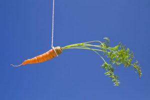 carrot hanged using tie